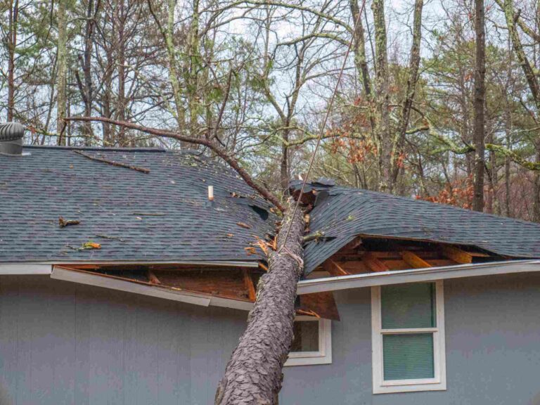 Storm damage with fallen tree crashing through residential roof, emergency storm damage restoration services in Reno and Tahoe NV